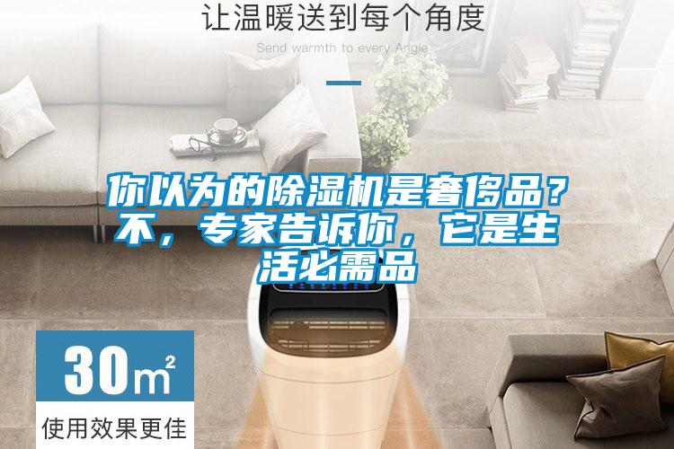 你以為的除濕機(jī)是奢侈品？不，專家告訴你，它是生活必需品