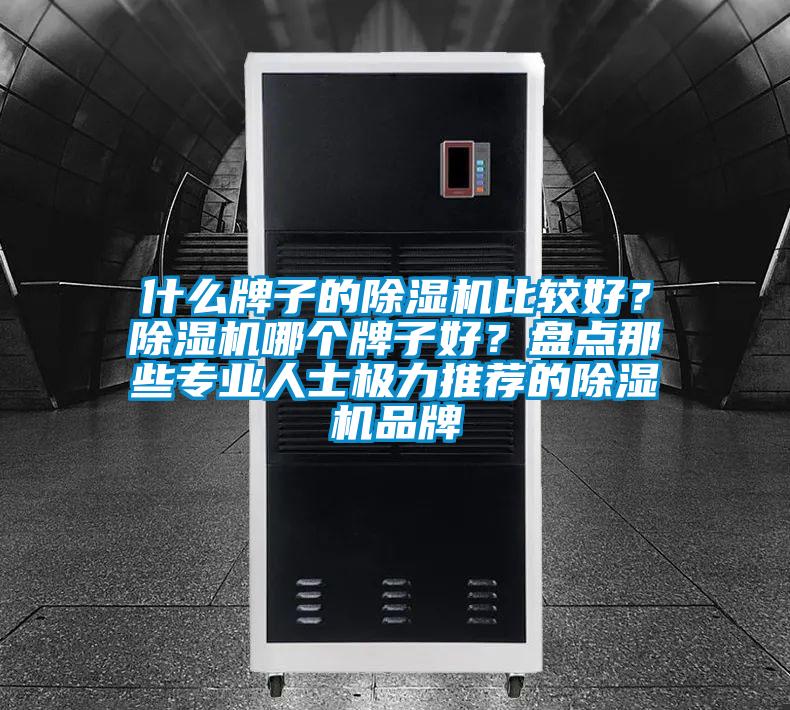 什么牌子的除濕機(jī)比較好？除濕機(jī)哪個(gè)牌子好？盤點(diǎn)那些專業(yè)人士極力推薦的除濕機(jī)品牌