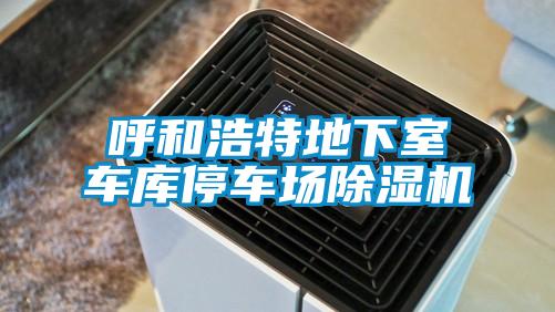 呼和浩特地下室車庫停車場(chǎng)除濕機(jī)
