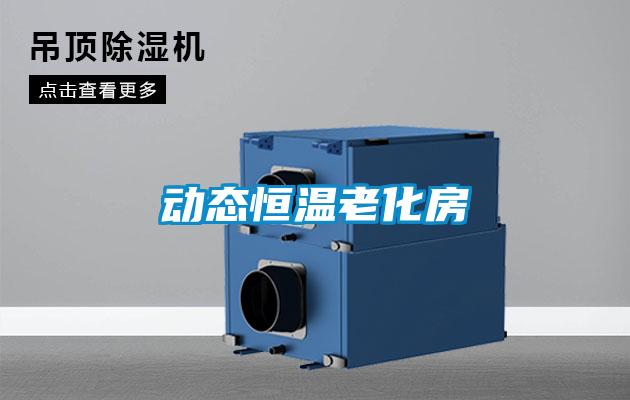 動態(tài)恒溫老化房