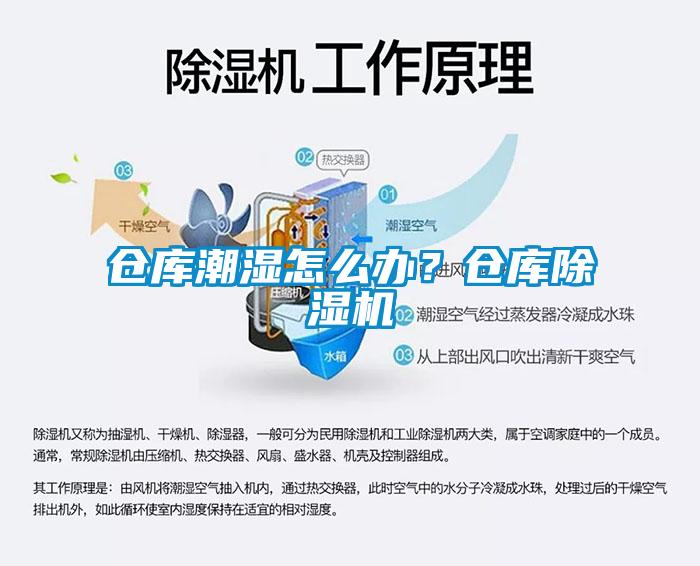 倉庫潮濕怎么辦？倉庫除濕機(jī)
