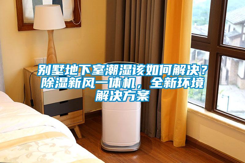 別墅地下室潮濕該如何解決？除濕新風(fēng)一體機(jī)，全新環(huán)境解決方案