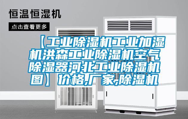 【工業(yè)除濕機工業(yè)加濕機洪森工業(yè)除濕機空氣除濕器河北工業(yè)除濕機圖】價格,廠家,除濕機