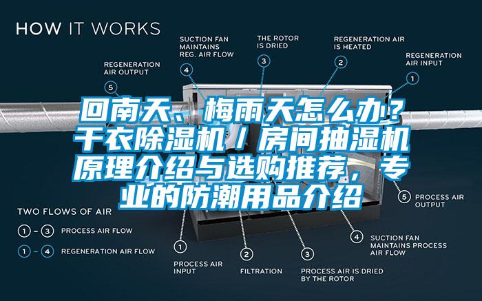 回南天、梅雨天怎么辦？干衣除濕機(jī)／房間抽濕機(jī)原理介紹與選購?fù)扑]，專業(yè)的防潮用品介紹