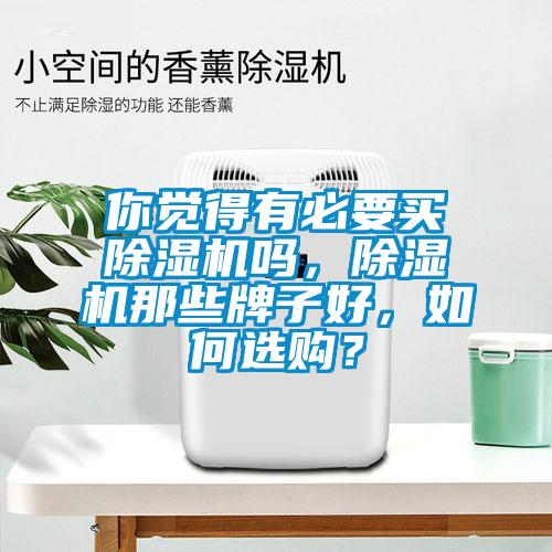 你覺得有必要買除濕機嗎，除濕機那些牌子好，如何選購？