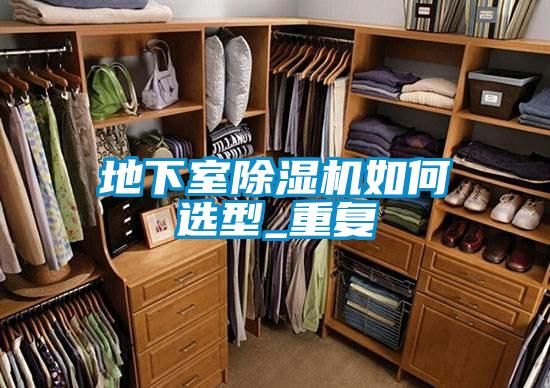 地下室除濕機如何選型_重復(fù)