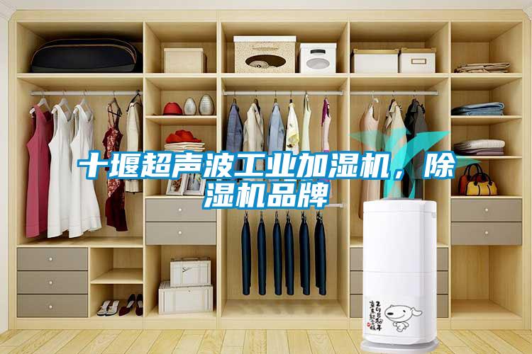 十堰超聲波工業(yè)加濕機，除濕機品牌