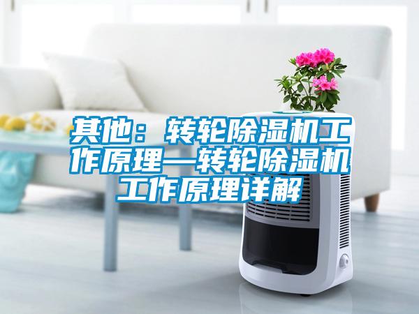 其他：轉(zhuǎn)輪除濕機(jī)工作原理—轉(zhuǎn)輪除濕機(jī)工作原理詳解