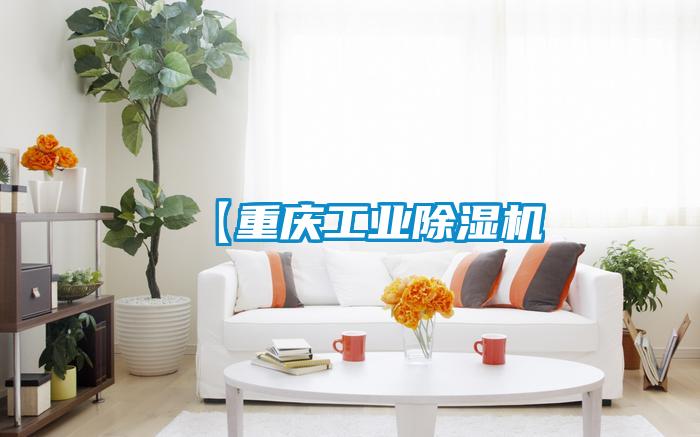 【重慶工業(yè)除濕機(jī)