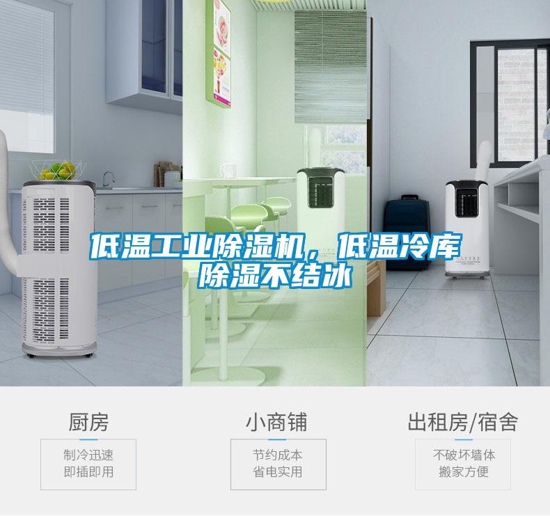 低溫工業(yè)除濕機，低溫冷庫除濕不結(jié)冰