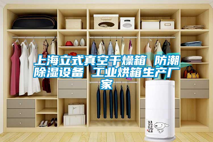 上海立式真空干燥箱 防潮除濕設(shè)備 工業(yè)烘箱生產(chǎn)廠(chǎng)家