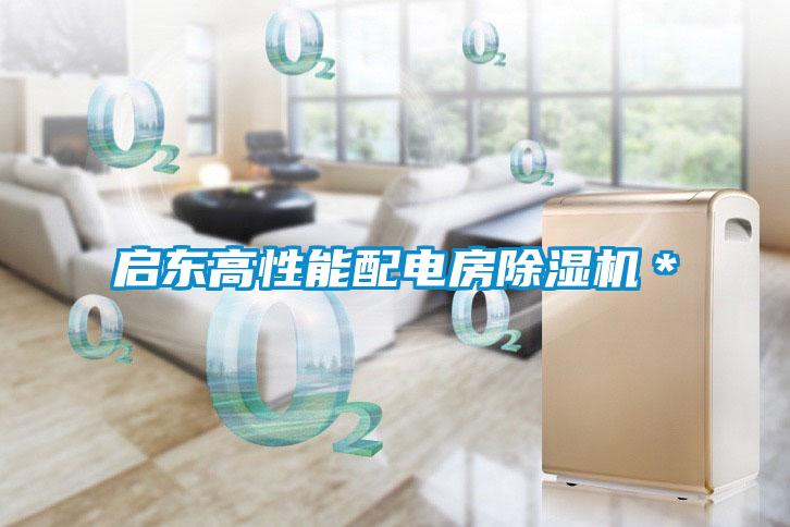 啟東高性能配電房除濕機(jī)＊