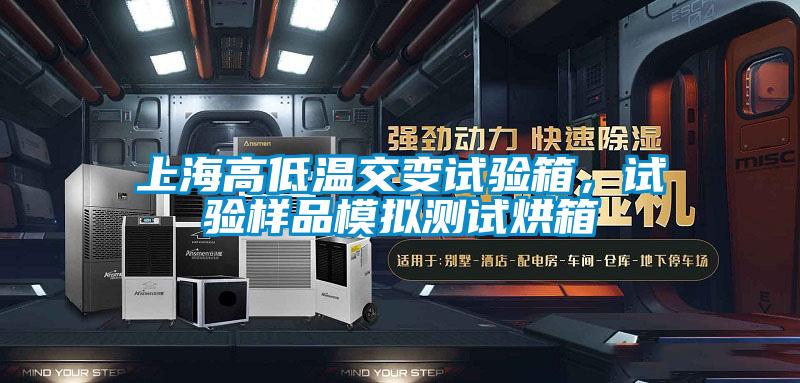 上海高低溫交變試驗箱，試驗樣品模擬測試烘箱
