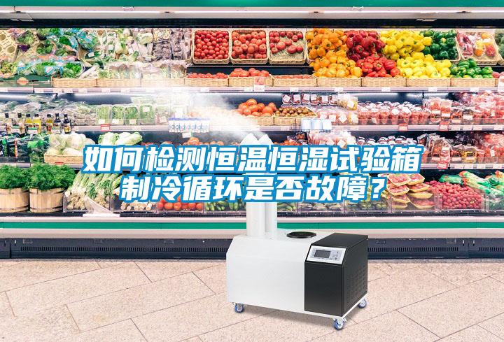 如何檢測恒溫恒濕試驗箱制冷循環(huán)是否故障？
