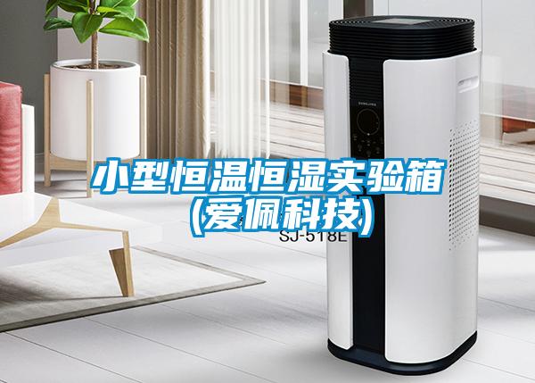 小型恒溫恒濕實(shí)驗(yàn)箱 (愛(ài)佩科技)