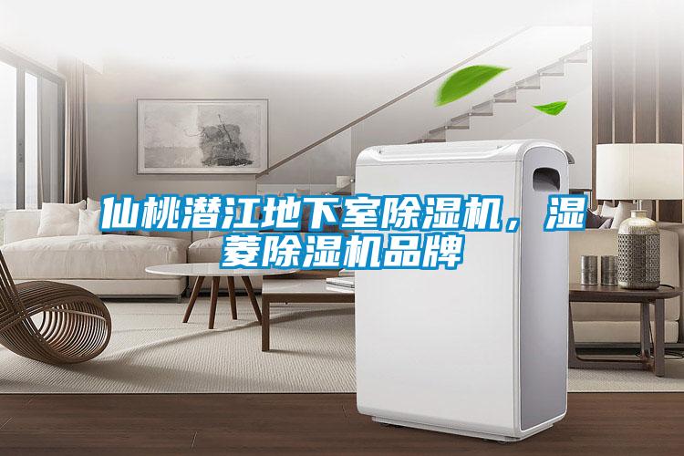 仙桃潛江地下室除濕機(jī)，濕菱除濕機(jī)品牌