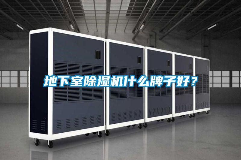 地下室除濕機(jī)什么牌子好？