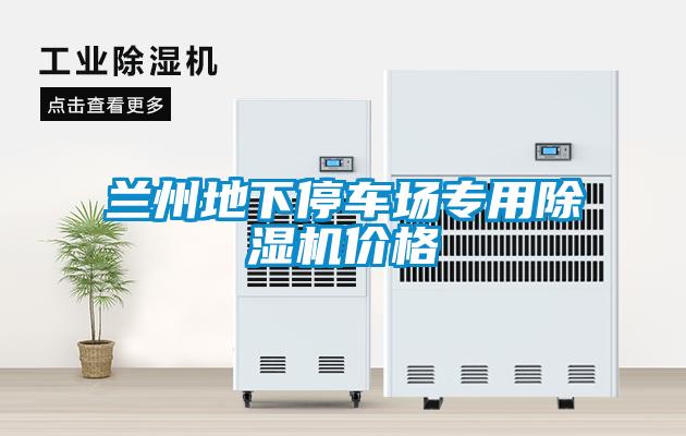蘭州地下停車(chē)場(chǎng)專用除濕機(jī)價(jià)格