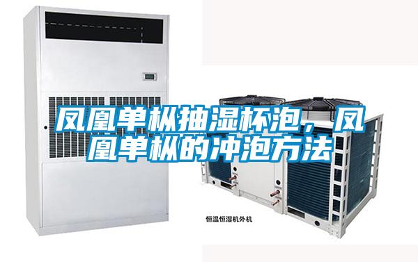 鳳凰單樅抽濕杯泡，鳳凰單樅的沖泡方法