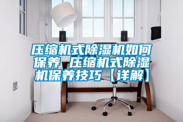 壓縮機(jī)式除濕機(jī)如何保養(yǎng) 壓縮機(jī)式除濕機(jī)保養(yǎng)技巧【詳解】