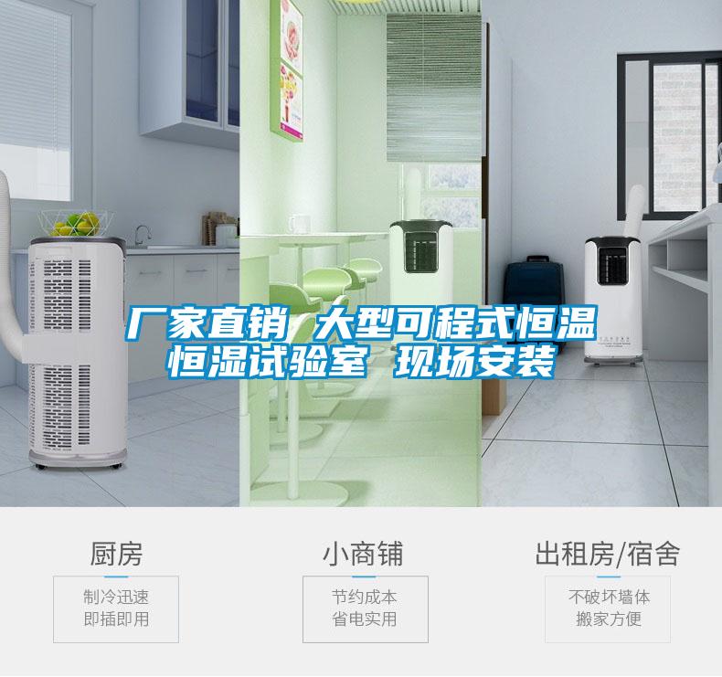 廠家直銷(xiāo) 大型可程式恒溫恒濕試驗(yàn)室 現(xiàn)場(chǎng)安裝