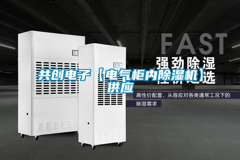 共創(chuàng)電子【電氣柜內(nèi)除濕機】供應(yīng)