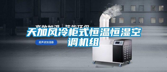 天加風(fēng)冷柜式恒溫恒濕空調(diào)機組