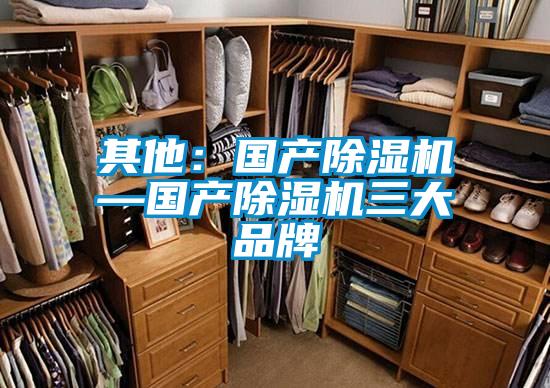 其他：國產(chǎn)除濕機—國產(chǎn)除濕機三大品牌