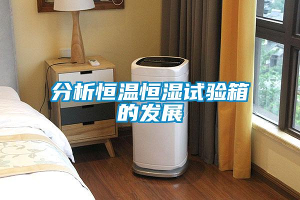 分析恒溫恒濕試驗箱的發(fā)展