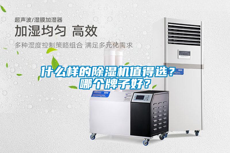 什么樣的除濕機(jī)值得選？ 哪個牌子好？