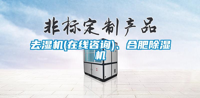 去濕機(jī)(在線咨詢(xún))、合肥除濕機(jī)