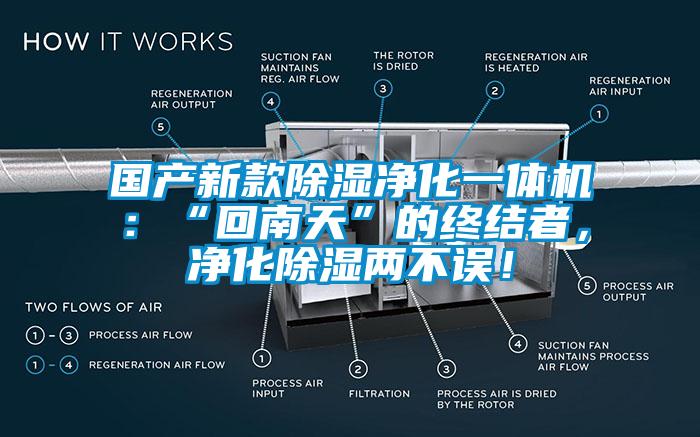 國產(chǎn)新款除濕凈化一體機(jī)：“回南天”的終結(jié)者，凈化除濕兩不誤！