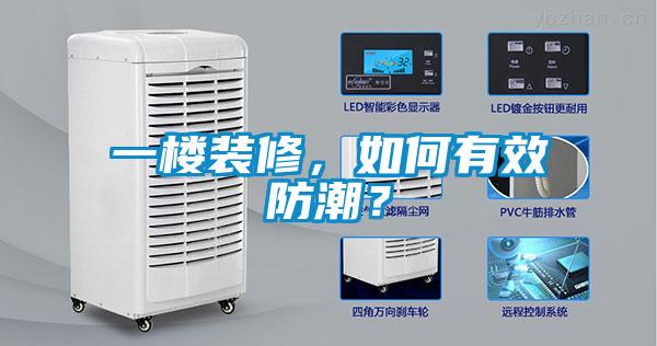 一樓裝修，如何有效防潮？