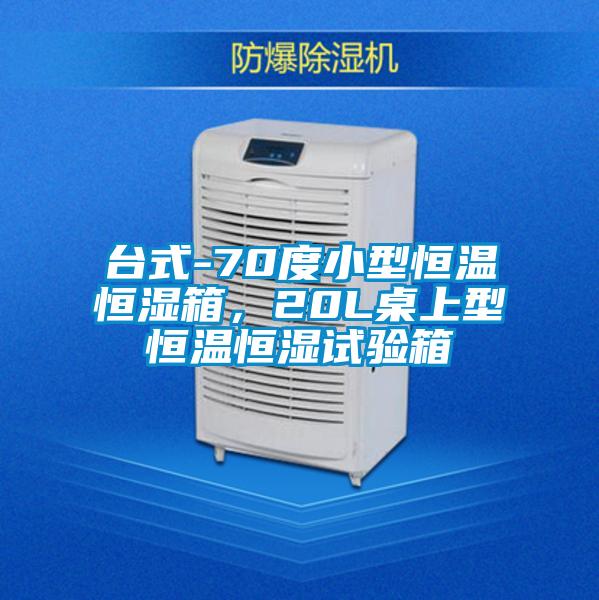 臺(tái)式-70度小型恒溫恒濕箱，20L桌上型恒溫恒濕試驗(yàn)箱