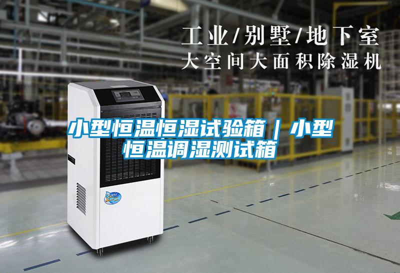 小型恒溫恒濕試驗(yàn)箱｜小型恒溫調(diào)濕測試箱