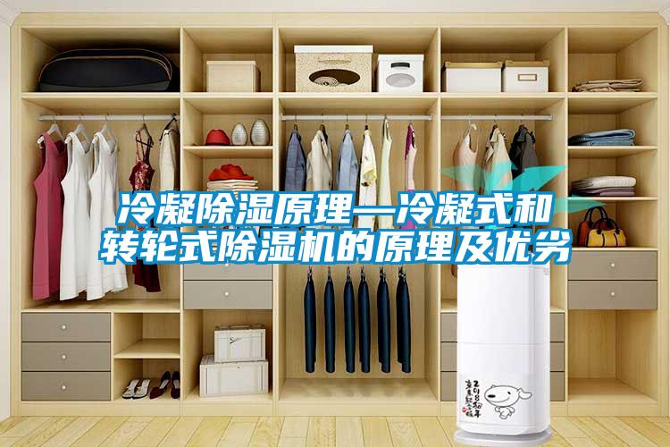 冷凝除濕原理—冷凝式和轉輪式除濕機的原理及優(yōu)劣
