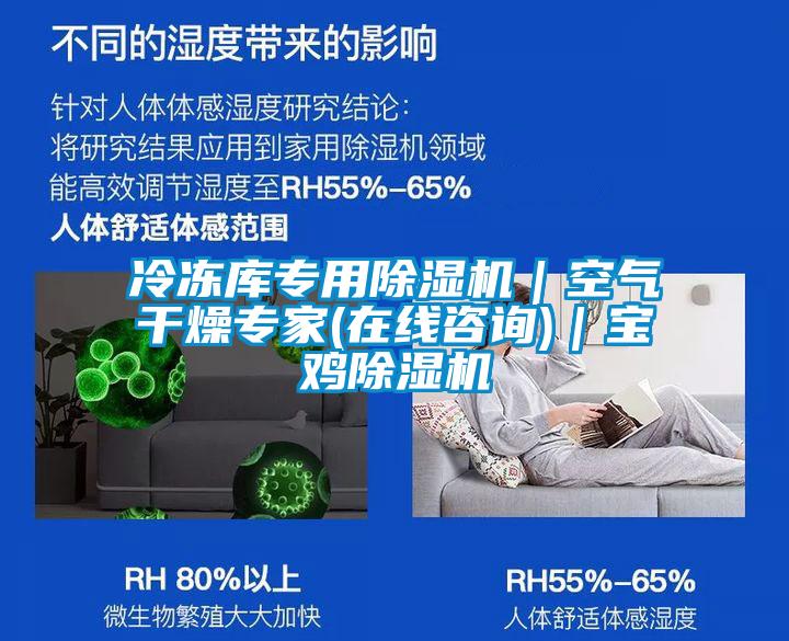 冷凍庫(kù)專用除濕機(jī)｜空氣干燥專家(在線咨詢)｜寶雞除濕機(jī)