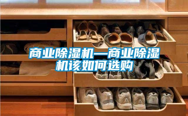 商業(yè)除濕機—商業(yè)除濕機該如何選購