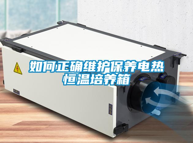 如何正確維護保養(yǎng)電熱恒溫培養(yǎng)箱