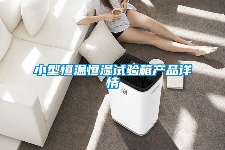 小型恒溫恒濕試驗箱產(chǎn)品詳情