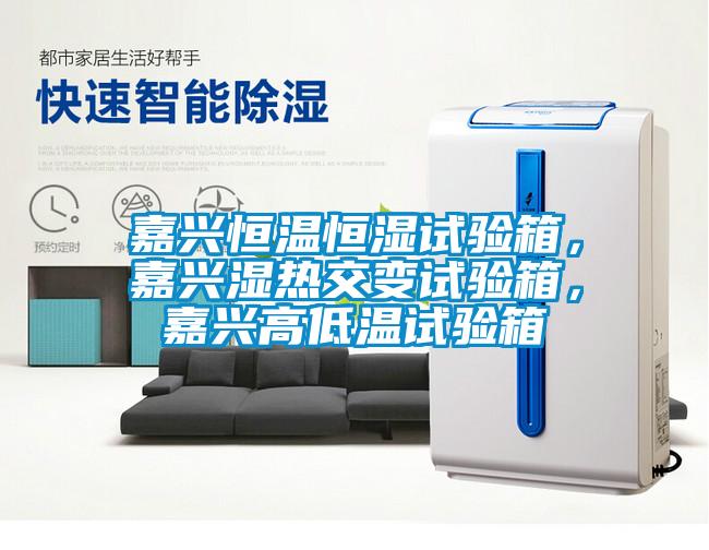 嘉興恒溫恒濕試驗(yàn)箱，嘉興濕熱交變?cè)囼?yàn)箱，嘉興高低溫試驗(yàn)箱