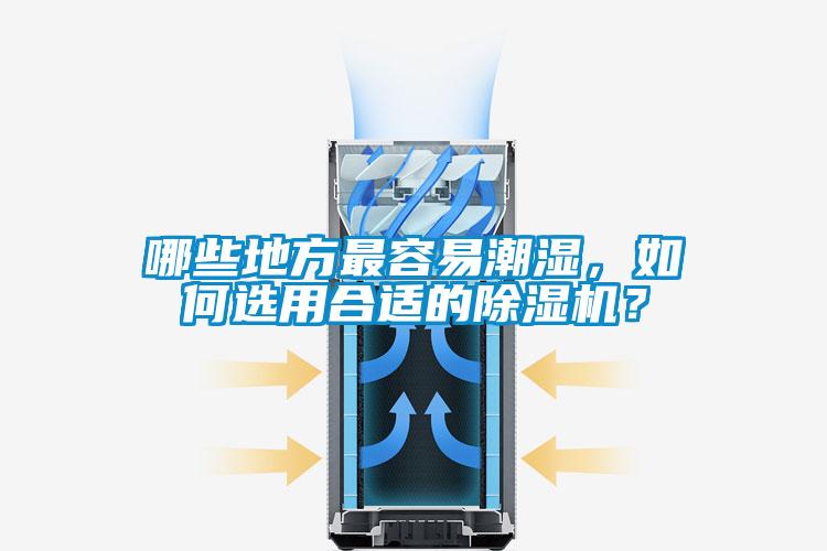 哪些地方最容易潮濕，如何選用合適的除濕機(jī)？