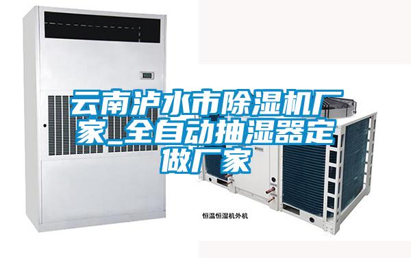 云南瀘水市除濕機(jī)廠家_全自動抽濕器定做廠家