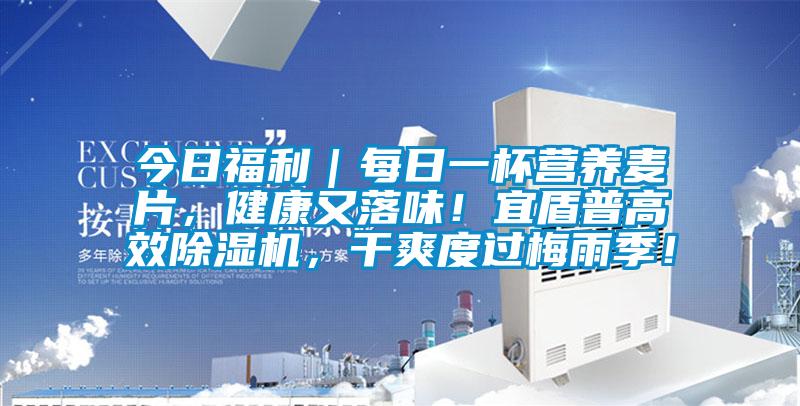 今日福利｜每日一杯營(yíng)養(yǎng)麥片，健康又落味！宜盾普高效除濕機(jī)，干爽度過(guò)梅雨季！