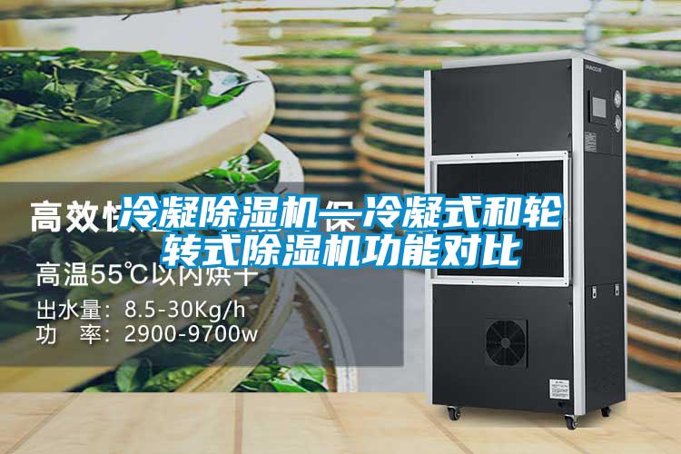 冷凝除濕機(jī)—冷凝式和輪轉(zhuǎn)式除濕機(jī)功能對比
