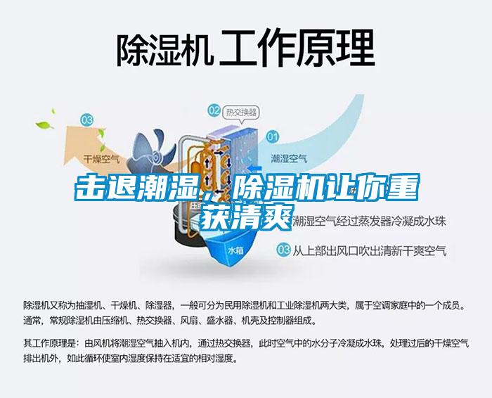 擊退潮濕，除濕機(jī)讓你重獲清爽