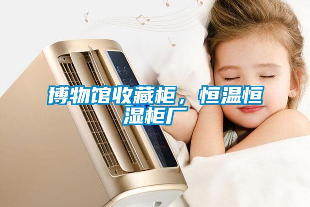 博物館收藏柜，恒溫恒濕柜廠