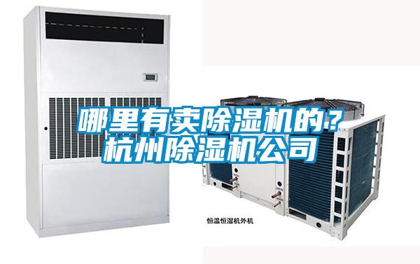 哪里有賣(mài)除濕機(jī)的？杭州除濕機(jī)公司