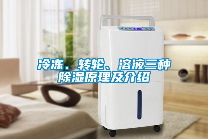 冷凍、轉(zhuǎn)輪、溶液三種除濕原理及介紹