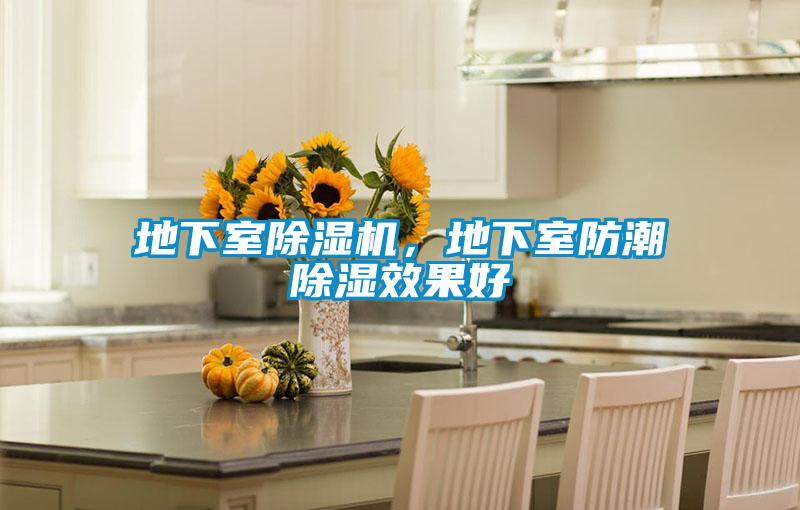 地下室除濕機(jī)，地下室防潮除濕效果好